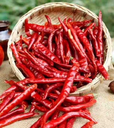 Red Chilli