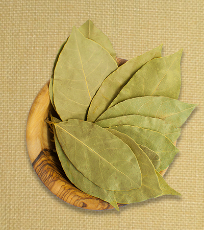 Bay leaf