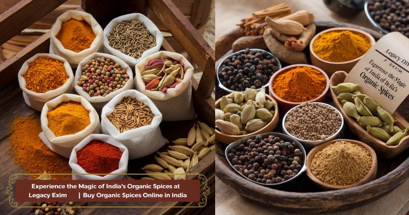 Experience the Magic of India's Organic Spices