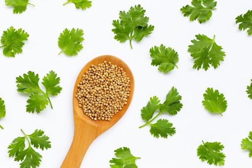 Coriander Seeds