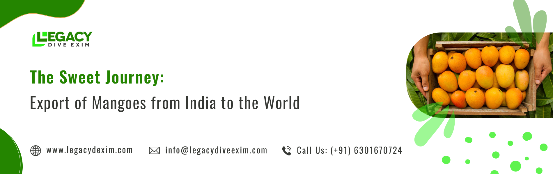 The Sweet Journey: Export of Mangoes from India to the World