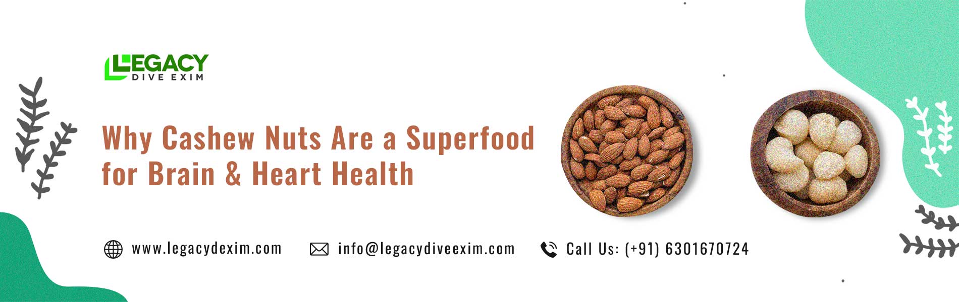 Why Cashew Nuts Are a Superfood for Brain & Heart Health